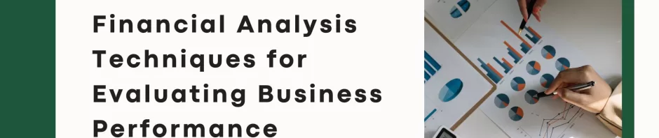 Financial Analysis Techniques for Evaluating Business Performance